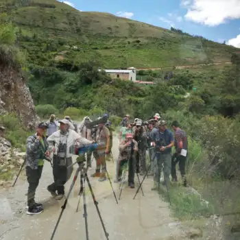 Grupo de pajareros (observadores de aves)