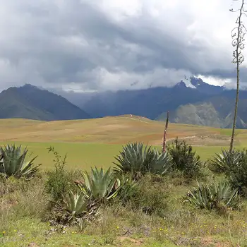 Vista al Valle Sagrado camino a Moray