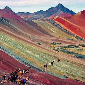 Arrieros en Vinicunca