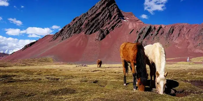 Caballos en el Valle Rojo