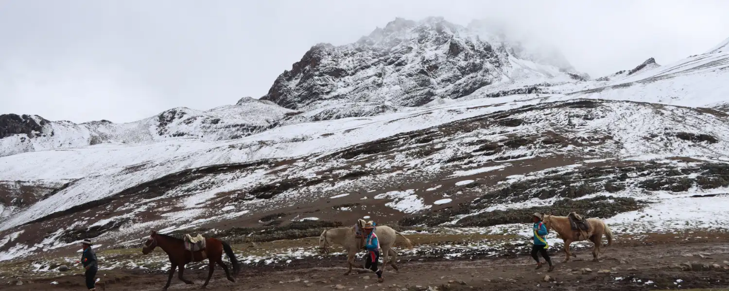 Tropeiros voltando de Vinicunca, a Montanha das Cores